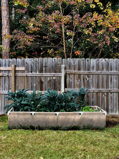 Smart Pot Urban Raised Bed