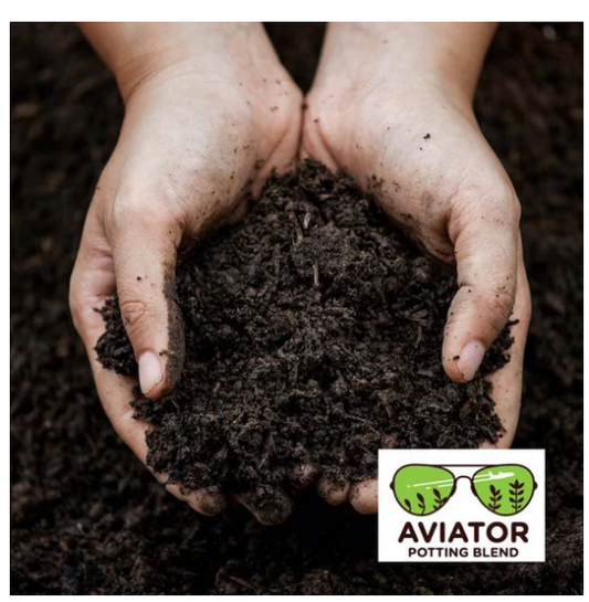 Urban Worm Company Aviator Potting Blend