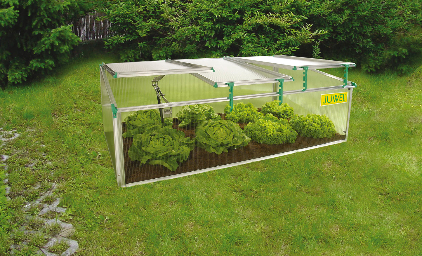 BioStar 1500 Premium Cold-Frame