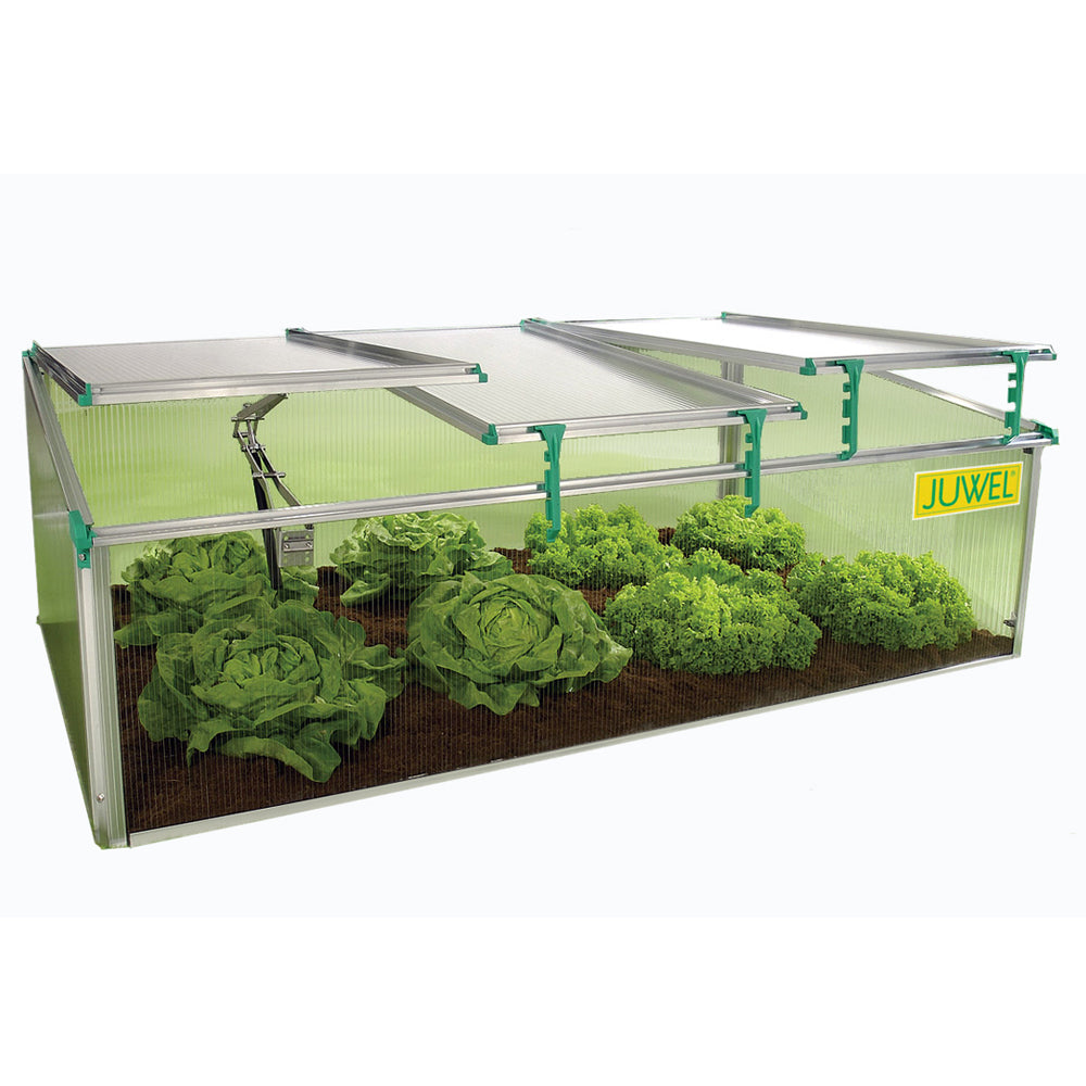 BioStar 1500 Premium Cold-Frame