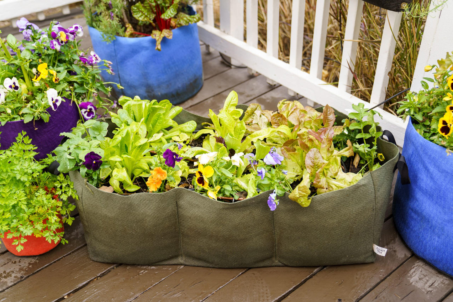 Smart Pot Lil’ Shorty Raised Bed Planter