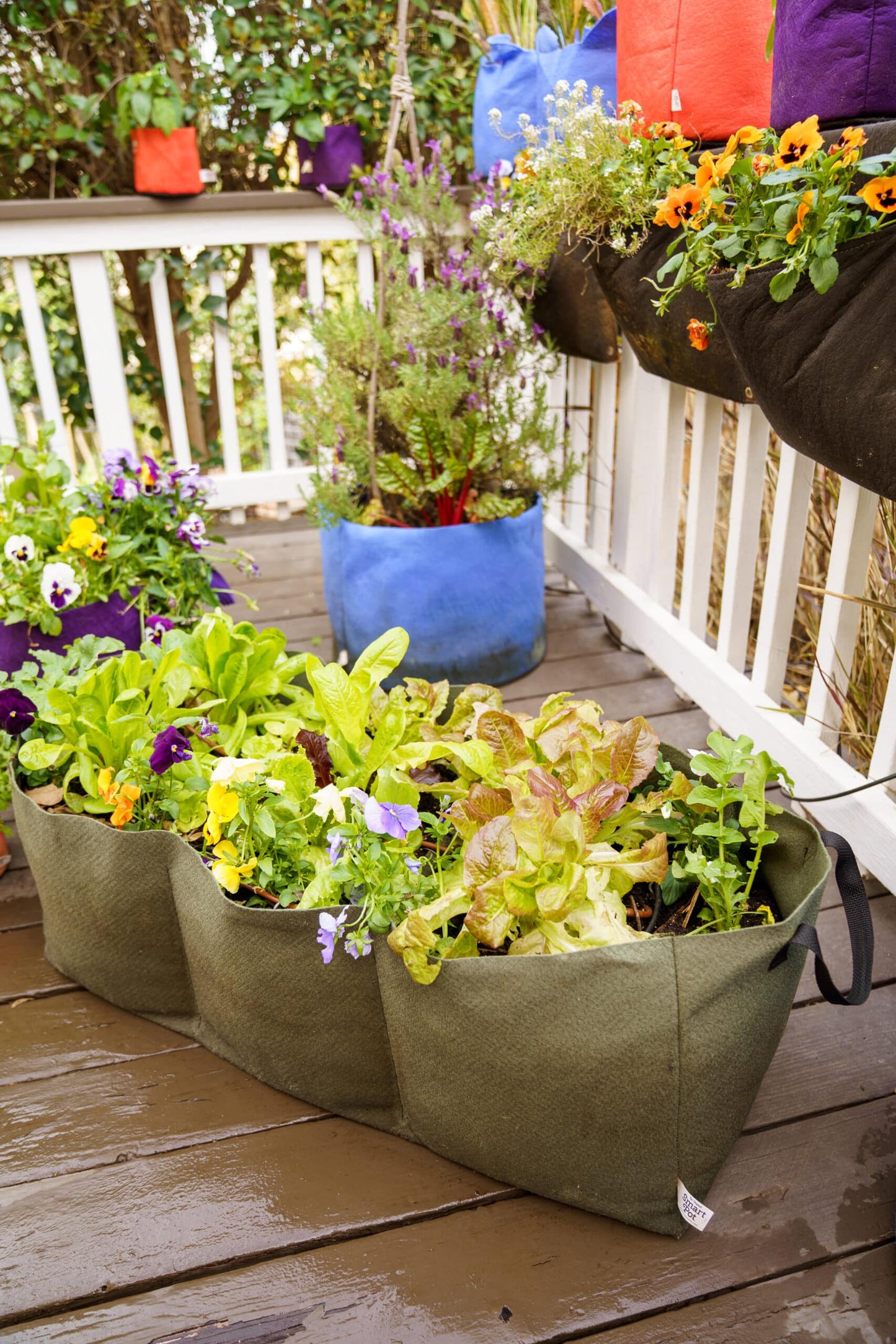 Smart Pot Lil’ Shorty Raised Bed Planter