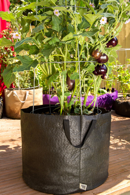 Smart Pot Fabric Planter