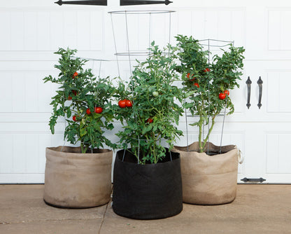 Smart Pot Fabric Planter