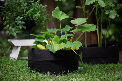 Smart Pot Fabric Planter