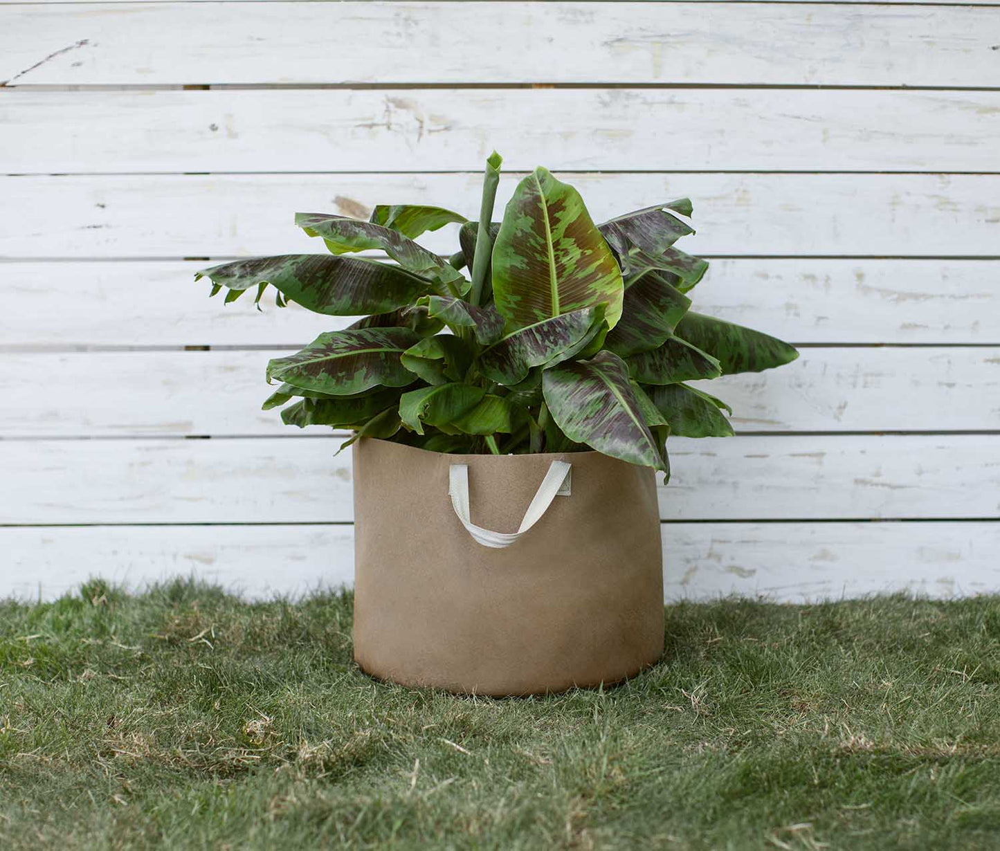 Smart Pot Fabric Planter