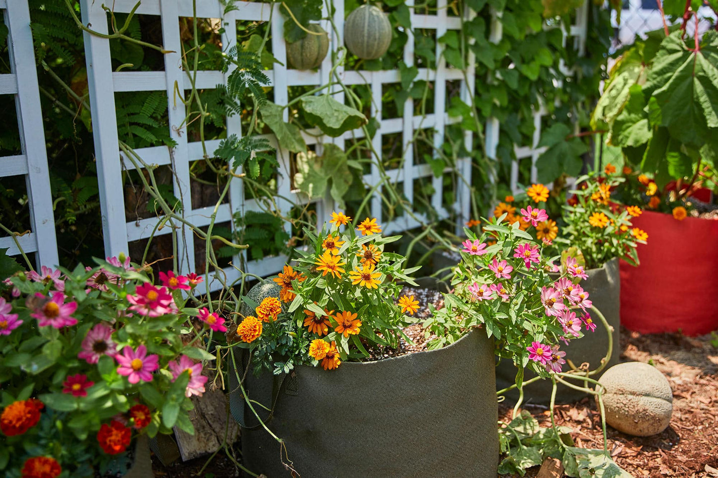 Smart Pot Fabric Planter