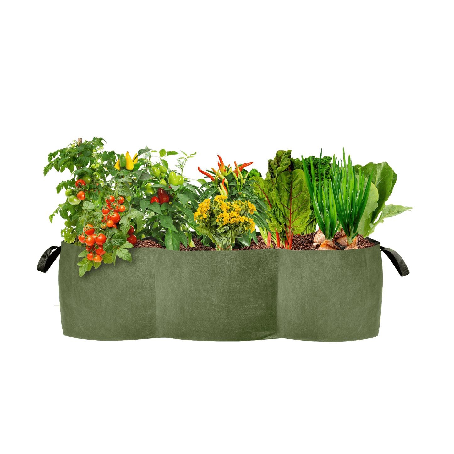 Smart Pot Lil’ Shorty Raised Bed Planter