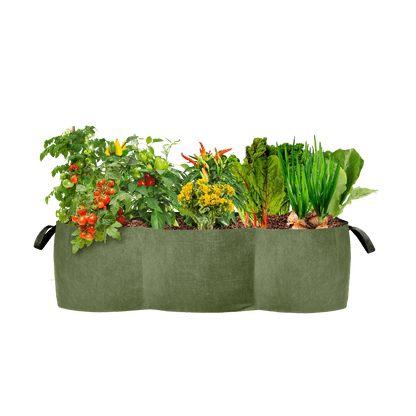 Smart Pot Lil’ Shorty Raised Bed Planter