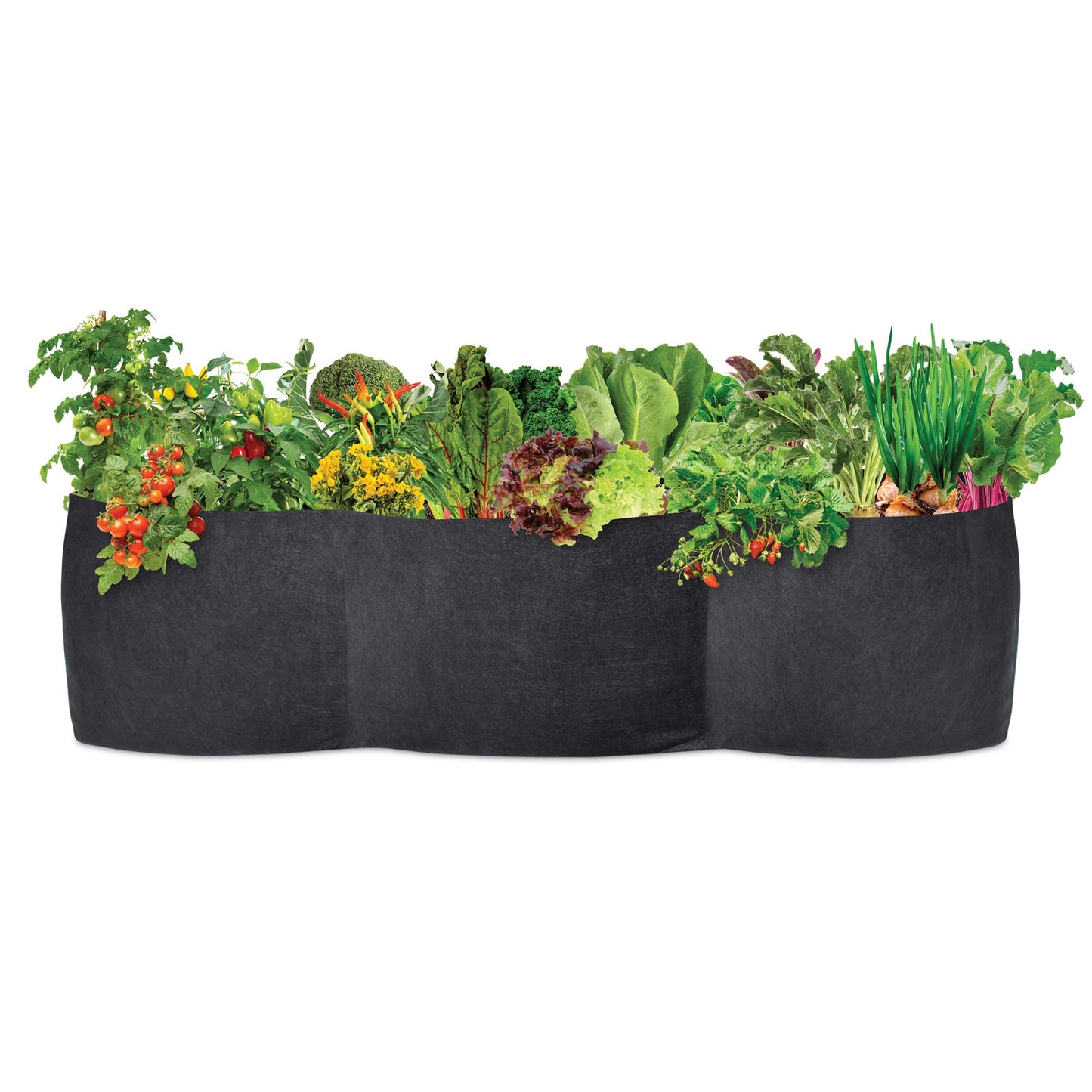 Smart Pot Raised Bed Planter