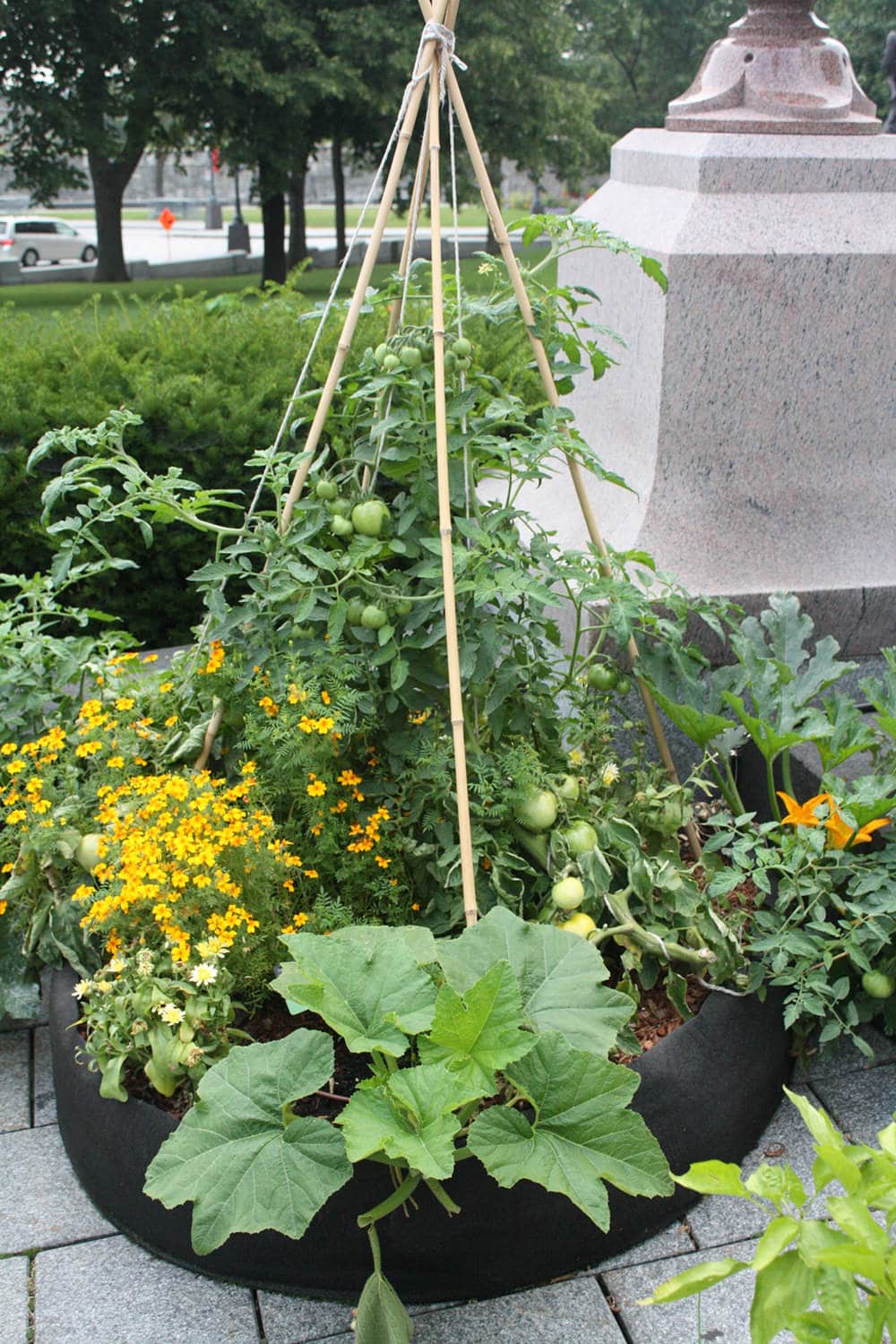 Smart Pot Round Raised Bed