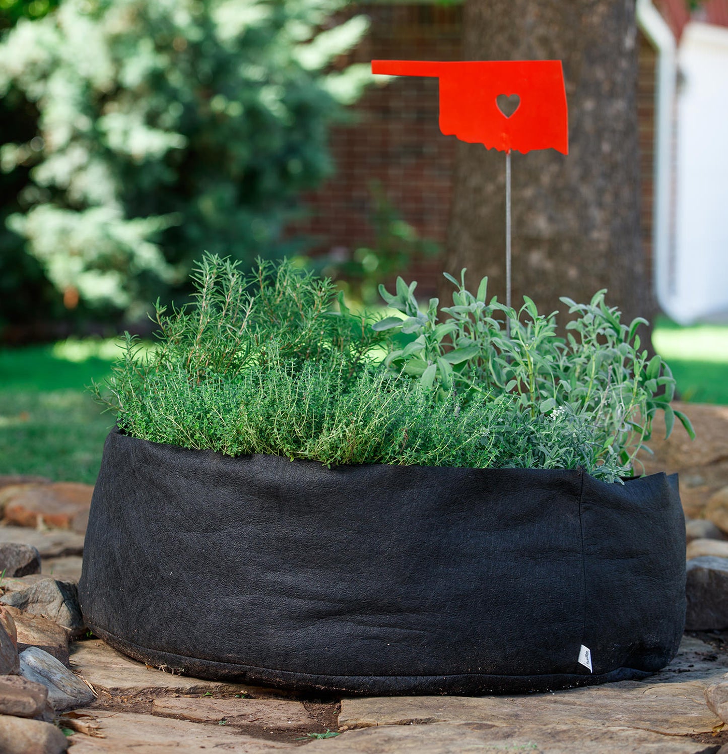 Smart Pot Round Raised Bed