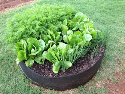 Smart Pot Round Raised Bed