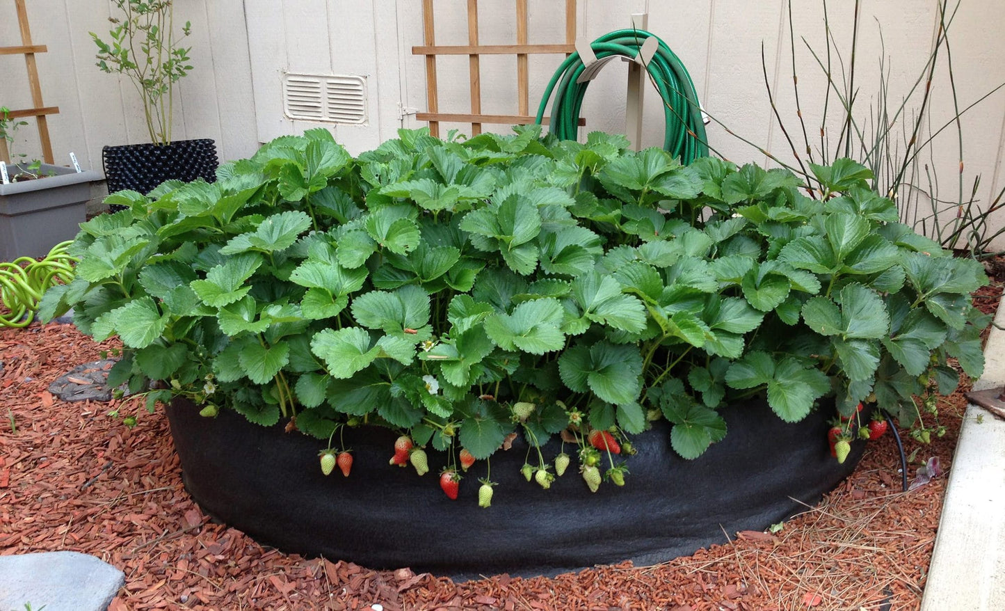 Smart Pot Round Raised Bed