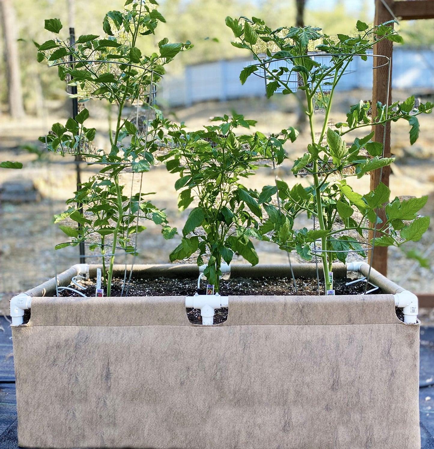 Smart Pot Urban Raised Bed