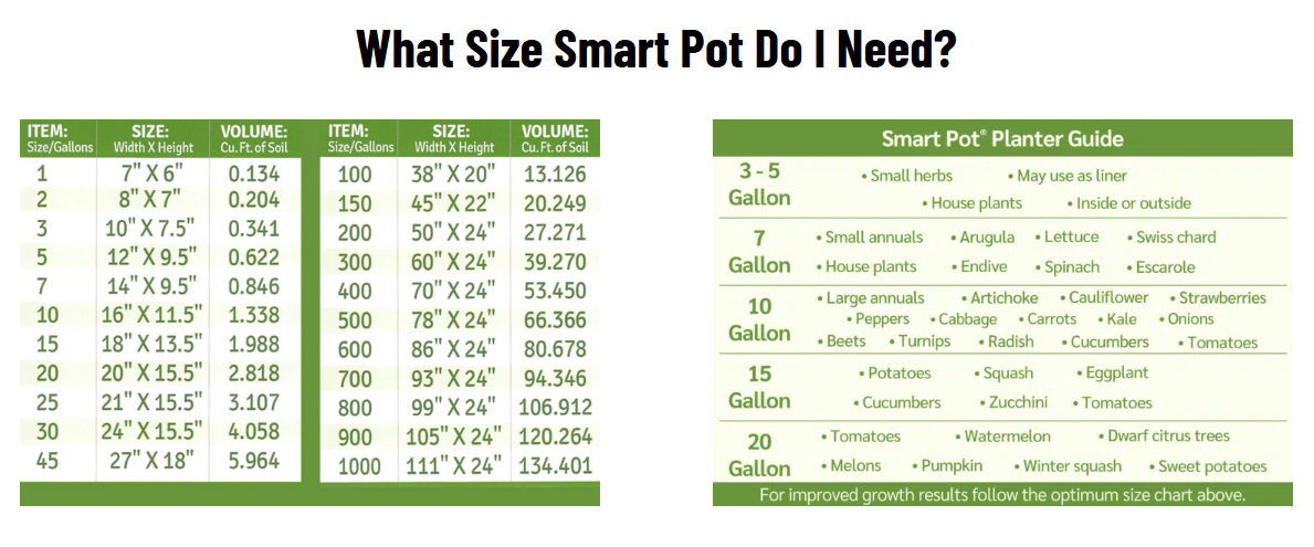 Smart Pot Round Raised Bed