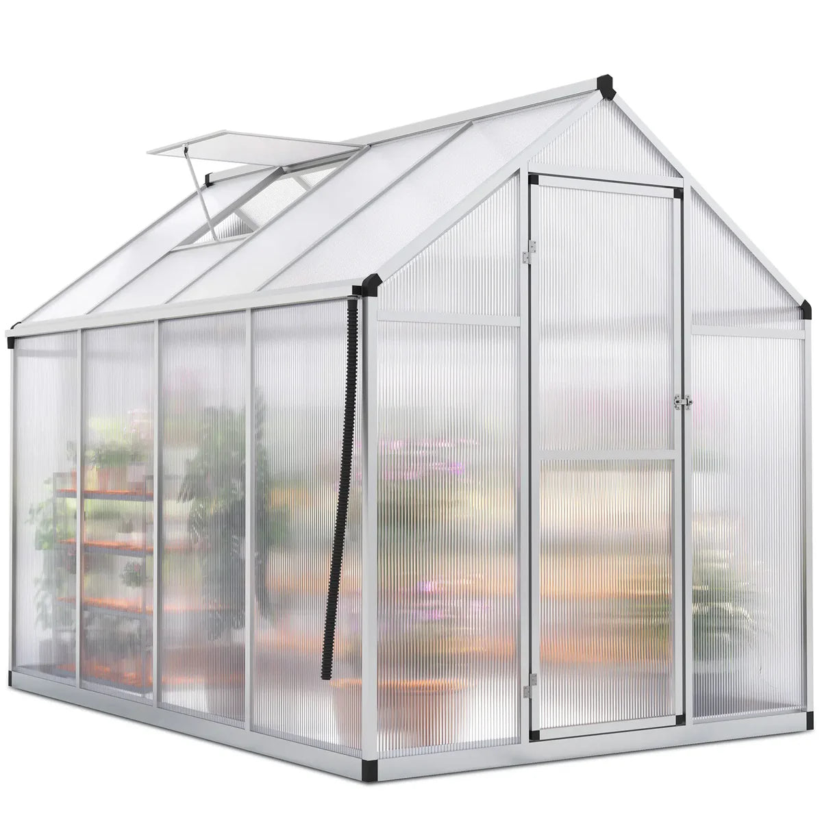 KING BIRD Walk-in Polycarbonate Greenhouse