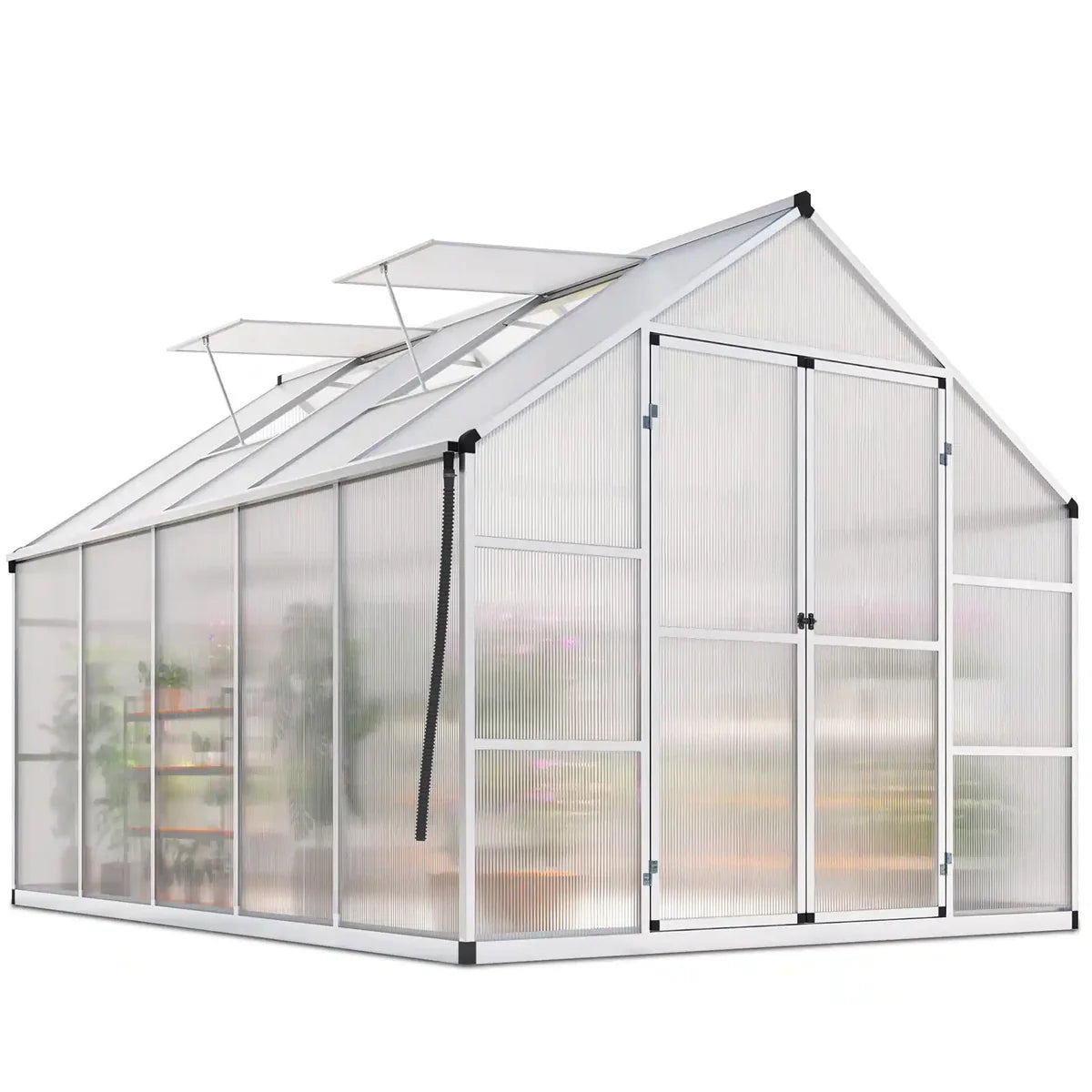 KING BIRD Walk-in Polycarbonate Greenhouse