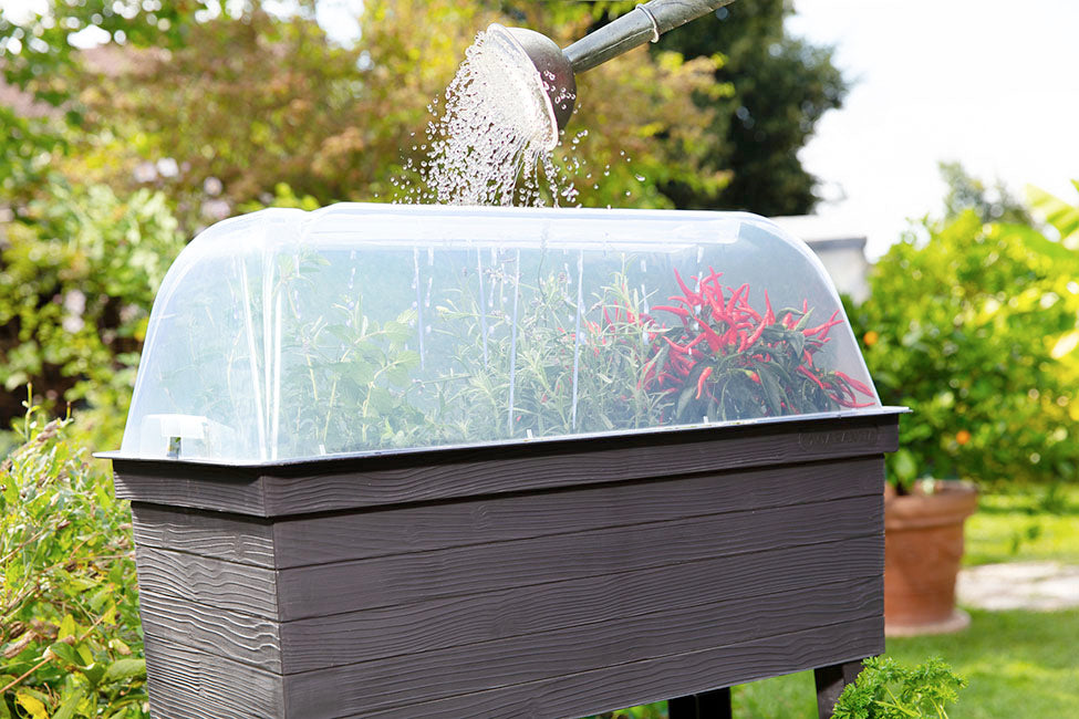 Graf Balcony Raised Bed Planter with Cover