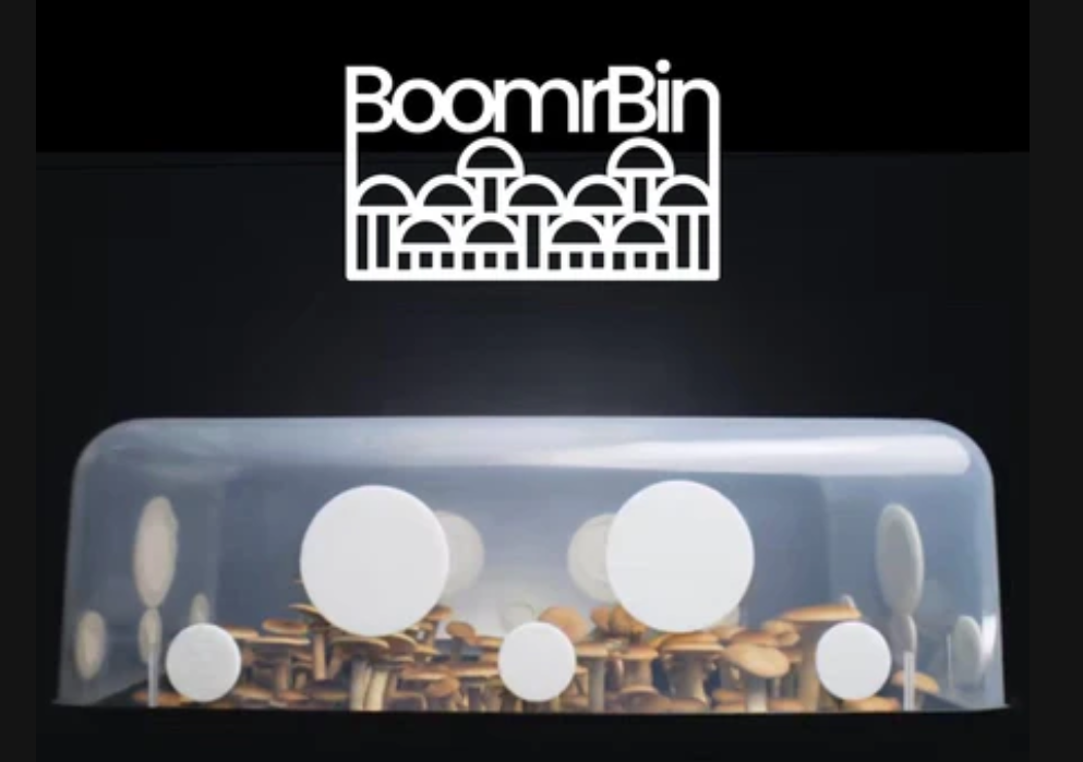 North Spore 'Boomr Bin' Dung-Loving Mushroom Monotub Grow Kit