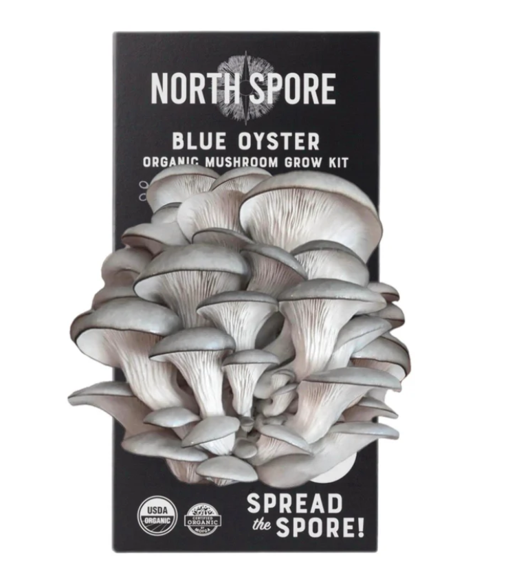 North Spore Organic Blue Oyster ‘Spray & Grow’ Mushroom Growing Kit