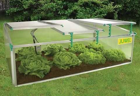 BioStar 1500 Premium Cold-Frame