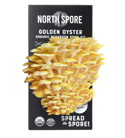 North Spore Organic Golden Oyster ‘Spray & Grow’ Mushroom Growing Kit