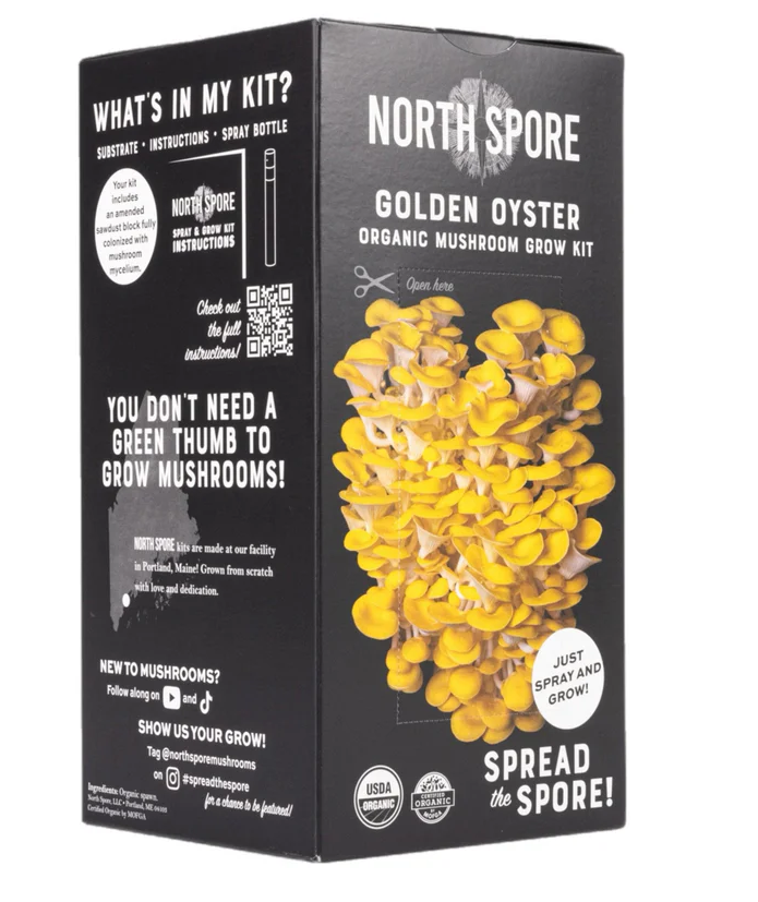 North Spore Organic Golden Oyster ‘Spray & Grow’ Mushroom Growing Kit