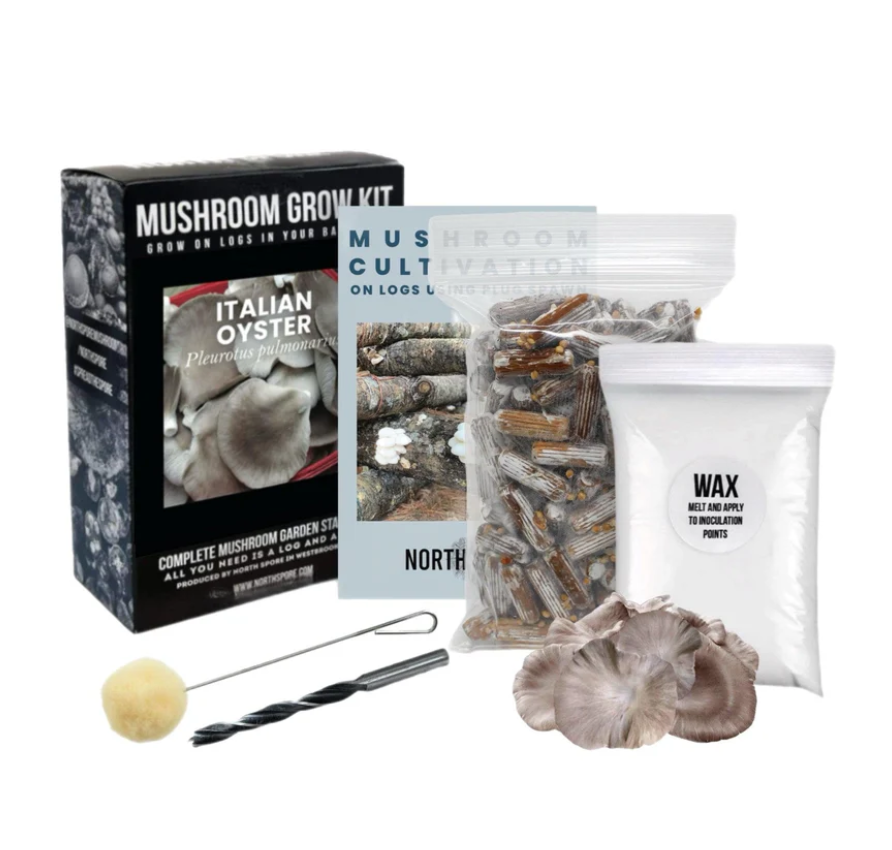 North Spore Organic Italian Oyster Mushroom Outdoor Log Growing Kit