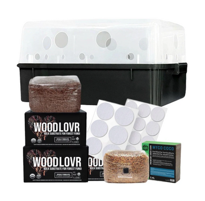 North Spore 'Boomr Bin" Wood-Loving Mushroom Monotub Grow Kit