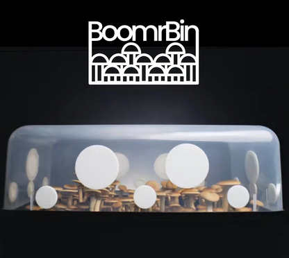 North Spore 'Boomr Bin" Wood-Loving Mushroom Monotub Grow Kit