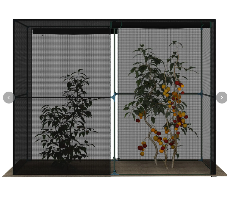 Outsunny 4' x 8' Crop Cage