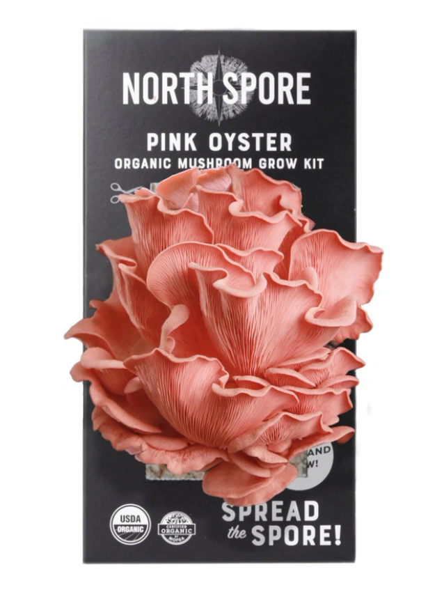 North Spore Organic Pink Oyster ‘Spray & Grow’ Mushroom Growing Kit