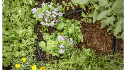 Smart Pot Bed Wetters